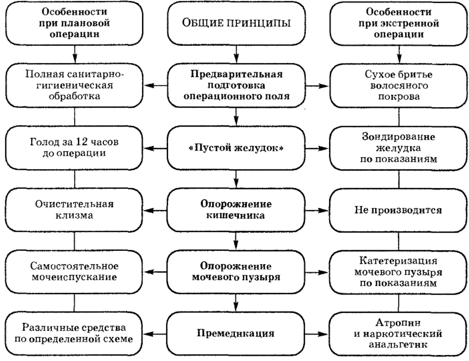 Основные принципы обучения - Принципы обучения