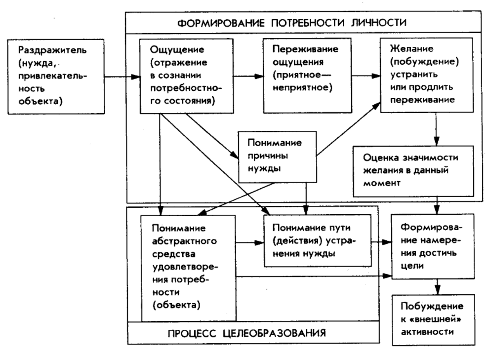 Особенности развития и формирования личности - Возрастные и индивидуальные особенности младших школьников