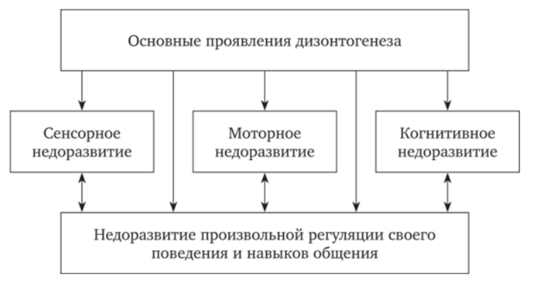 Детская нейропсихология - Принципы нейропсихологической диагностики детей