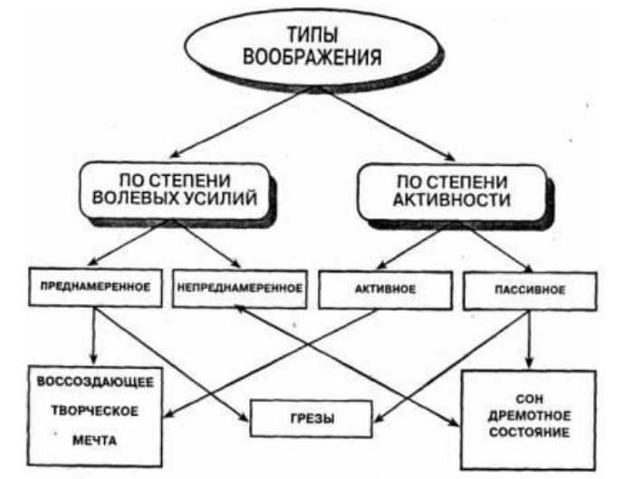 Механизмы воображения - Теоретическое представление о воображении, его видах и функциях 