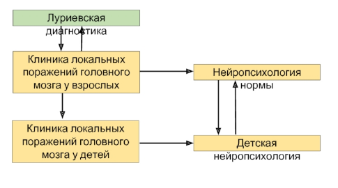 Методика нейропсихологической диагностики детей - Проблема пространственных представлений в психологии