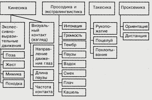 Мимика как элемент невербальной коммуникации - Общее представление о невербальной коммуникации 