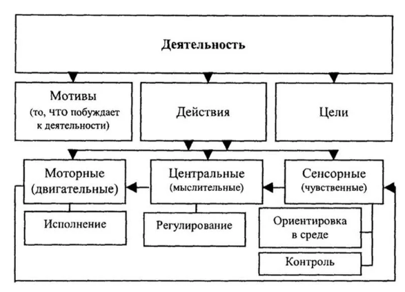 Деятельность - Понятие деятельности