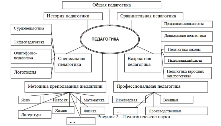 Естественно-научные основы психопедагогики образования - Образование как общественное явление и педагогический процесс