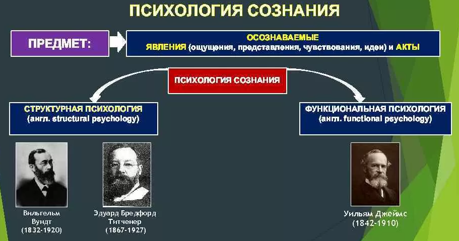 Критика основных теоретических положений психологии сознания