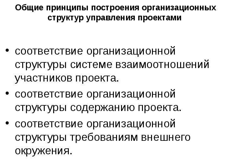 Принципы построения организационных структур управления проектами