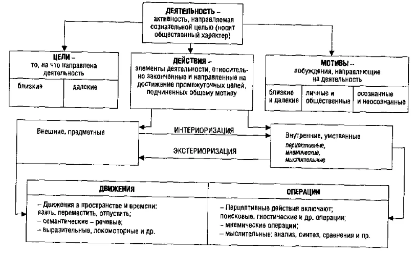 Возрастная психофизиология - Предмет и задачи и разделы психофизиологии