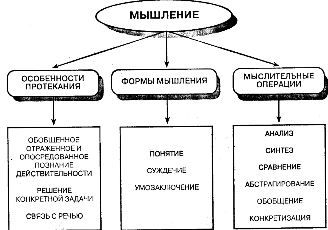 Восприятие образа учителя разными возрастными группами учащихся - Возраст: ключевые концепции понимания