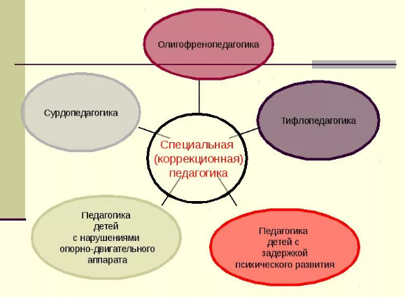 Коррекционная и специальная педагогика -  Роль речи в развитии ребёнка 