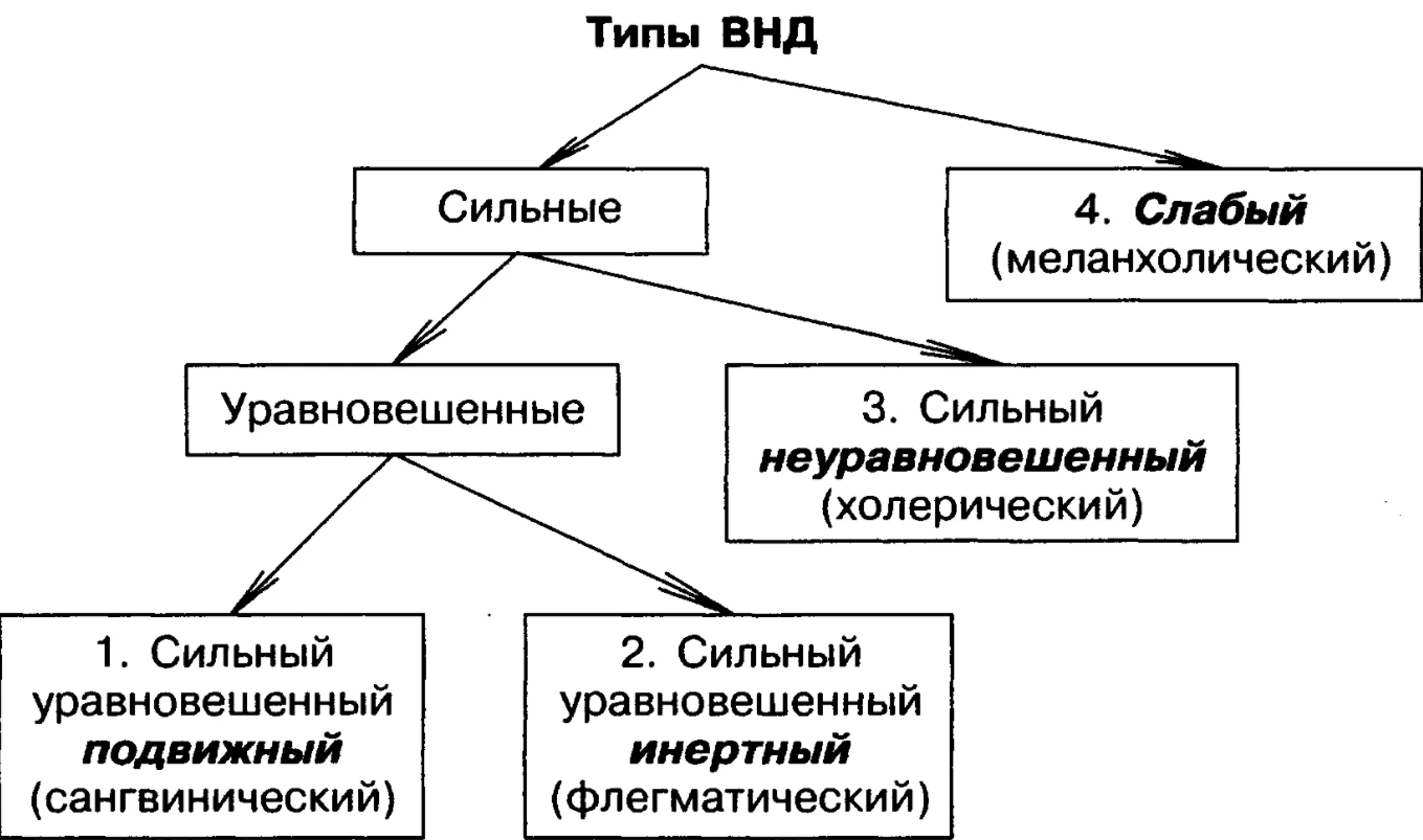 Виды темперамента - Исторический фон