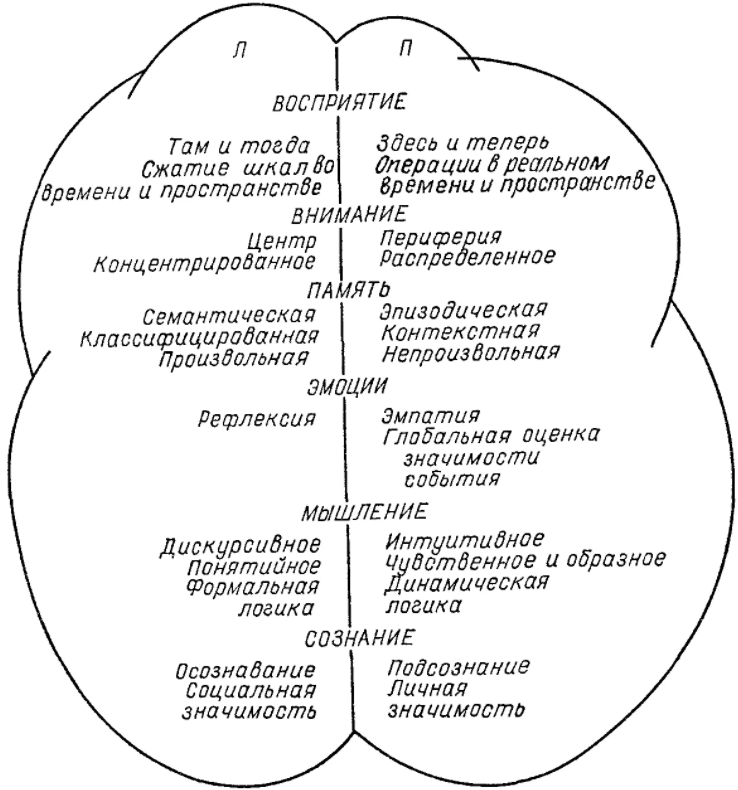 Внимание, мышление, память - Общее психическое развитие детей дошкольного возраста