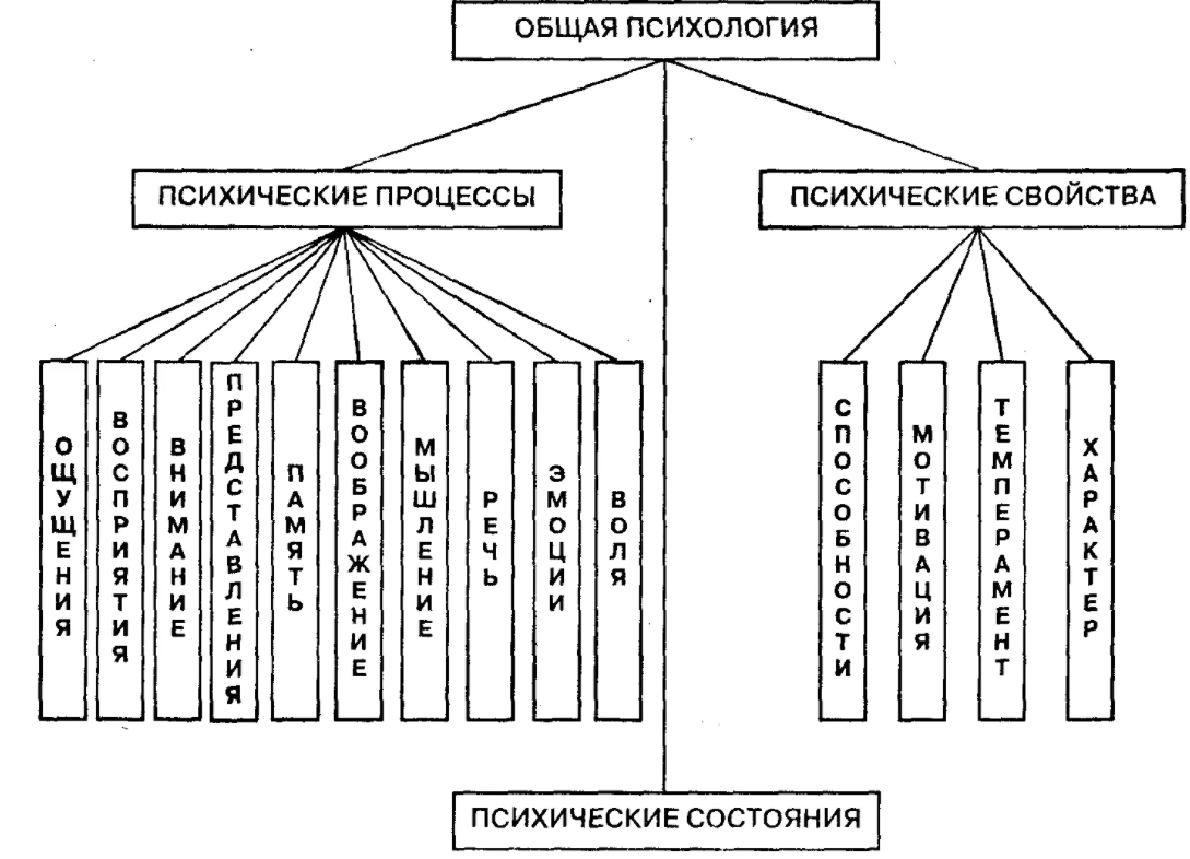 Виды клинической психологии - Объект и предмет исследования в клинической психологии