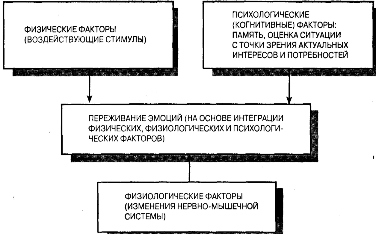 Влияние эмоциональных переживаний на образовательный процесс - Место межличностного взаимодействия в системе отношений