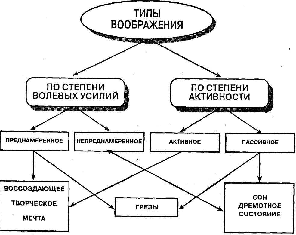 Взаимосвязь мышления и речи - Развитие мышления