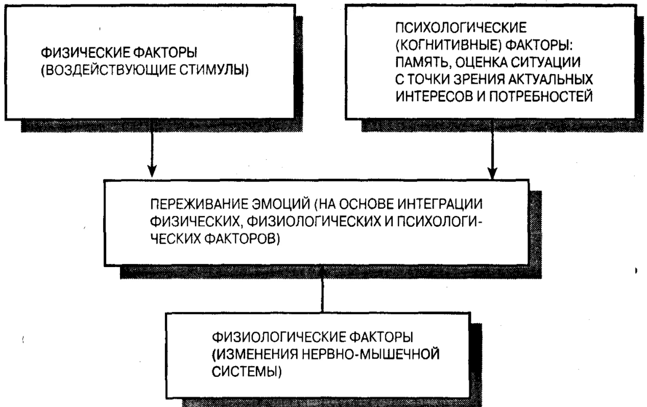 Виды психических процессов: эмоции - Эмоциональные проявления