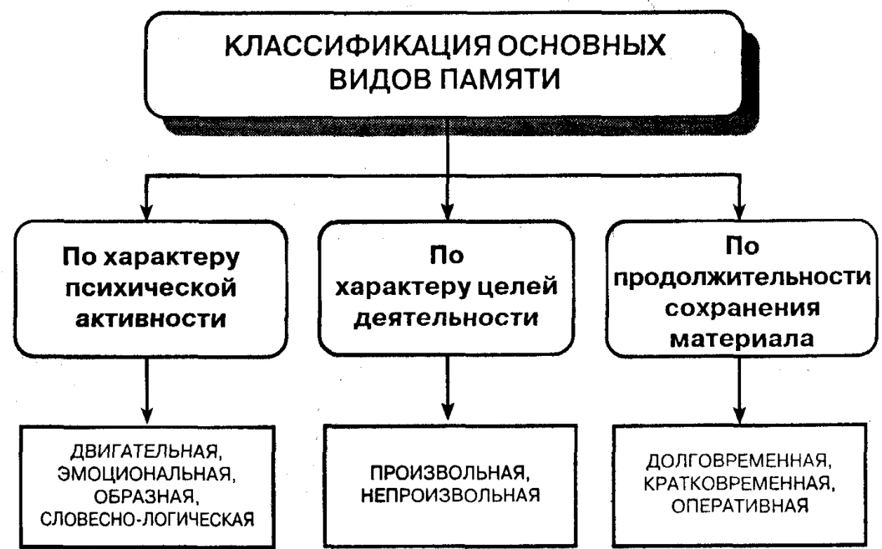 Вторичные психические процессы - Развитие дошкольников с нарушением зрения в различных видах деятельности