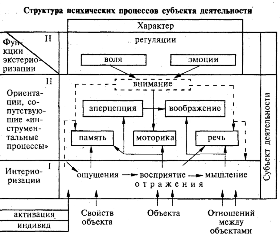 Высшие и низшие психические процессы - Типы инсульта и их характеристики