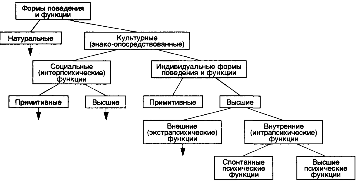 Высшие психические функции - Теория высших психических функций