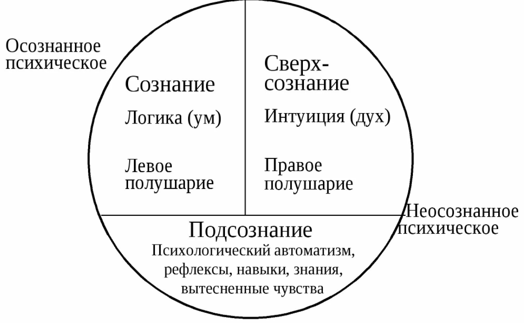 Высший уровень сознания - Условия для возникновения сознания (работа и язык). Теория культурно-исторического развития высших психических функций (Л. С. Выготский)