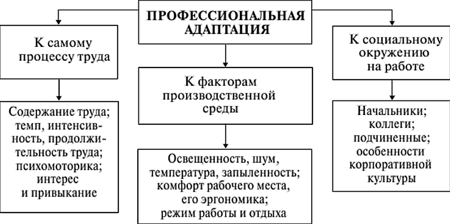 Виды социальной адаптации - Концепция адаптации