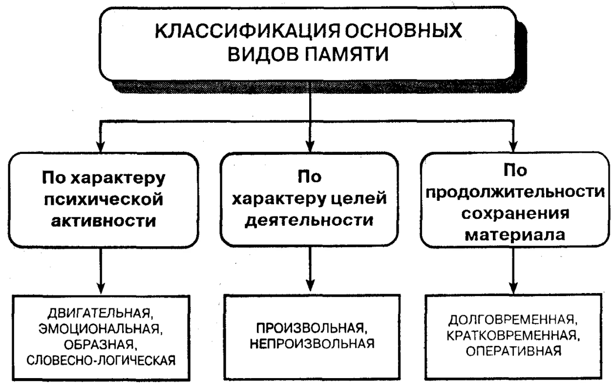 Восприятие и внимание - Сложные формы восприятия