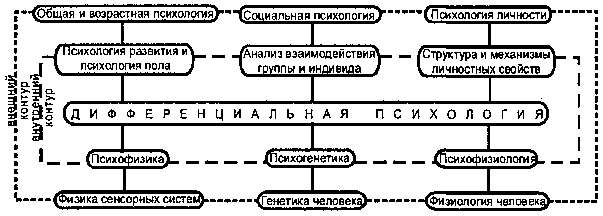 Дифференциальная психология