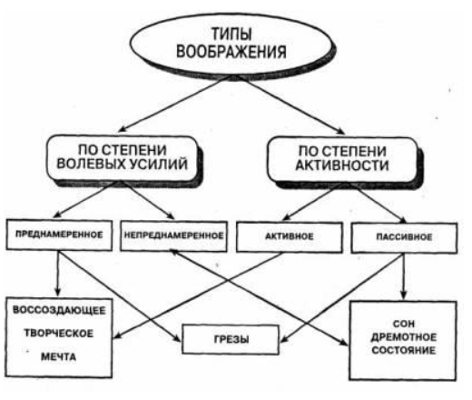 Деятельность воображения - Типы и виды воображения