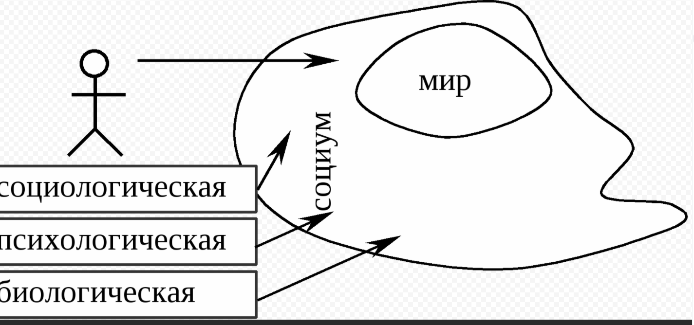 Дмитрий Николаевич Узнадзе, грузинский советский психолог и философ - Анализ работы Д.Н. Узнадзе "Психология деятельности. Импульсивное поведение"