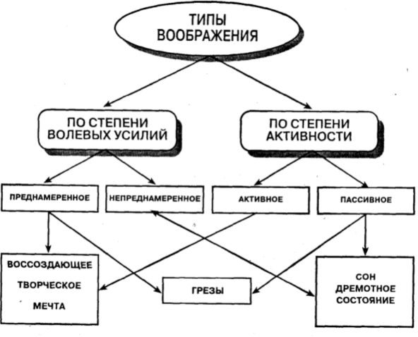 Воображение детей - Особенности воображения: его функции, формы и значение