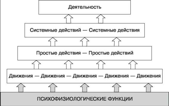 Действие - Психологическая структура двигательных навыков