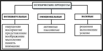 
Виды психических процессов: воля - Воля и эмоции. Концепция эмоций
