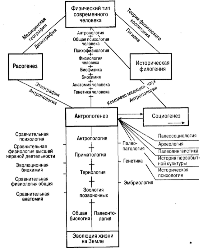 Зоопсихология - Основные тенденции в науке о поведении животных