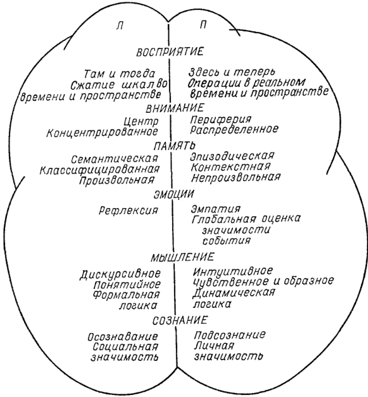 Задачи нейропсихологии - Области нейропсихологии