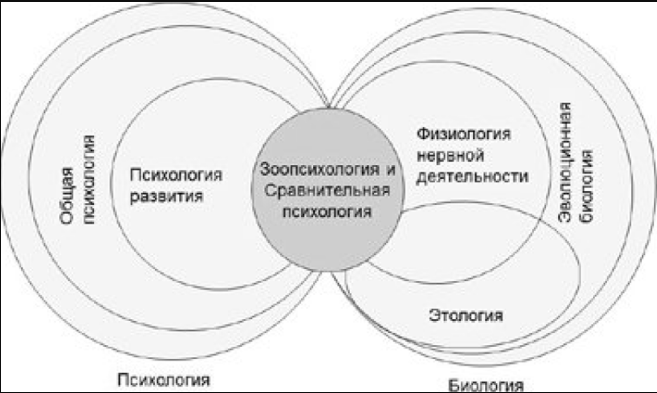 Зоопсихология - Эволюционная теория