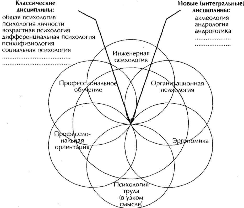 Психология и социальная педагогика - Профессиональная деятельность социального педагога