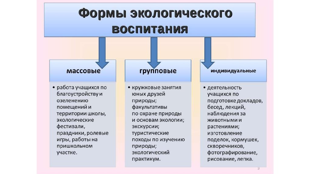 Педагогические условия организации экологического воспитания младших школьников во внеурочной деятельности - Экологическое образование в структуре системы дополнительного образования детей