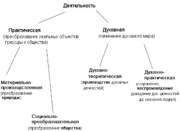 Творческая деятельность