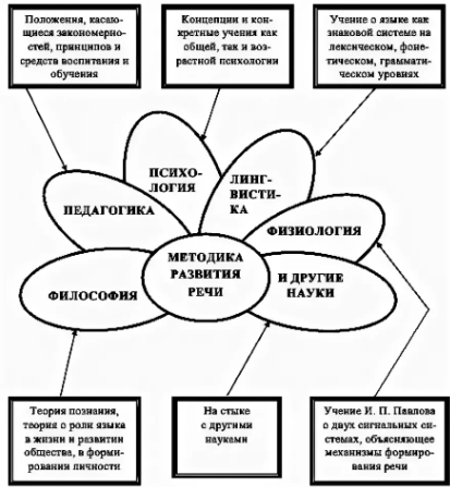 Теоретические основы и методика развития речи у детей