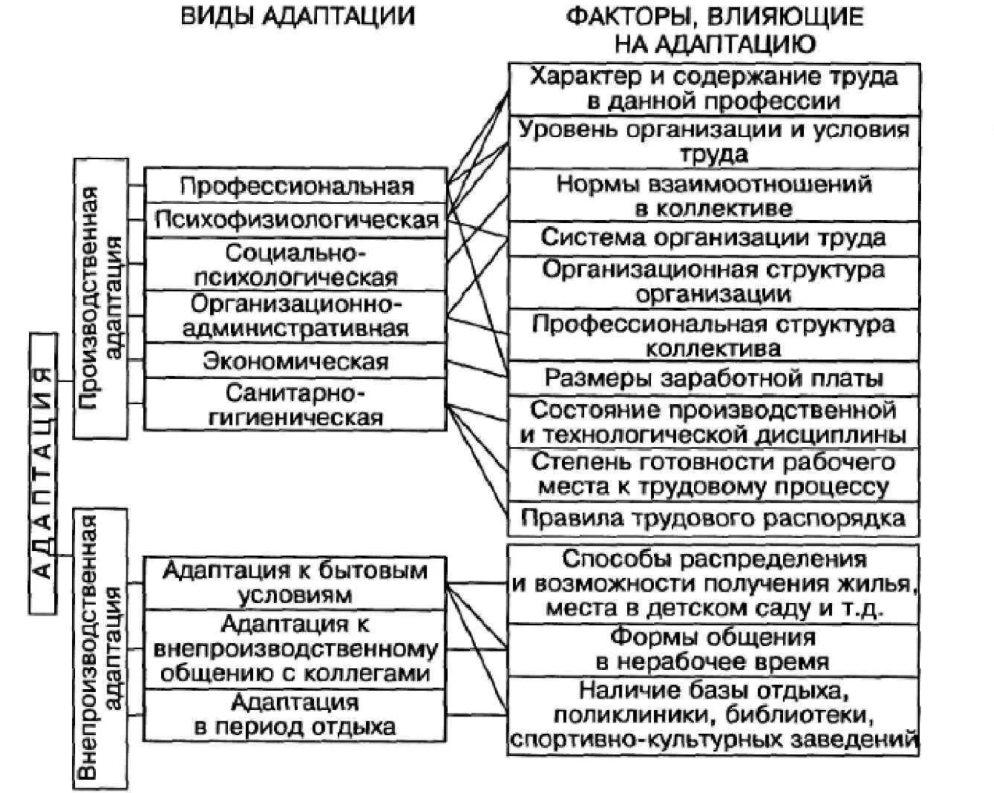 Профессиональная карьера в педагогике - История профориентации