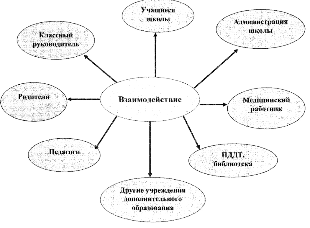 План воспитательной работы летнего лагеря - Роль физического воспитания в развитии ребенка