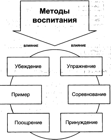 Течения в педагогике: история и современности