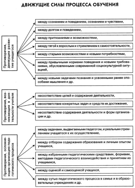 Противоречия процесса обучения - Министерству образования необходимо пересмотреть понятие "светское образование"