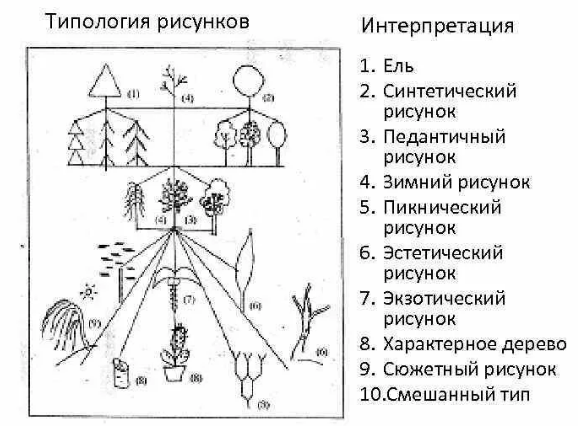 Тест «дерево» Коха и его значение в педагогике