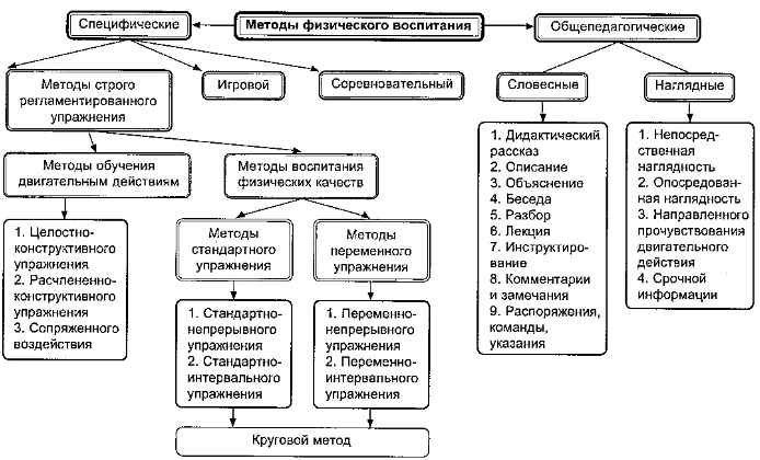 Теория и методика развития математических представлений у дошкольников