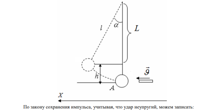 Деревянный шар массой М=10 кг подвешен на нити длиной l = 2 м. В шар попадает горизонтально летящая пуля массой m=5 г и застревает в нем. Определите скорость  пули, если нить с шаром отклонилась от вертикали на угол α = 3°. Размером шара можно пренебречь. Удар пули считать центральным. 