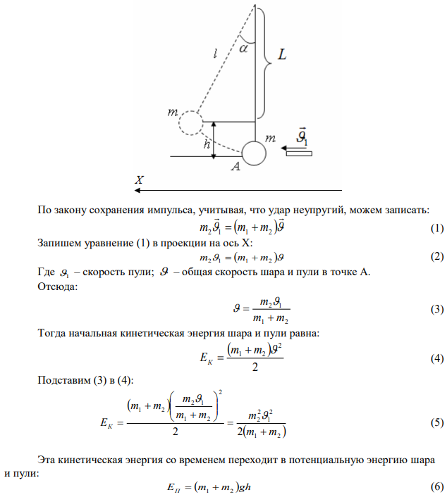 В подвешенный на нити длиной l = 1,8 м деревянный шар массой m1 = 8 кг попадает горизонтально летящая пуля массой m2 = 4 г. С какой скоростью летела пуля, если нить с шаром и застрявшей в нем пулей отклонилась от вертикали на угол α = 5 0 ? 