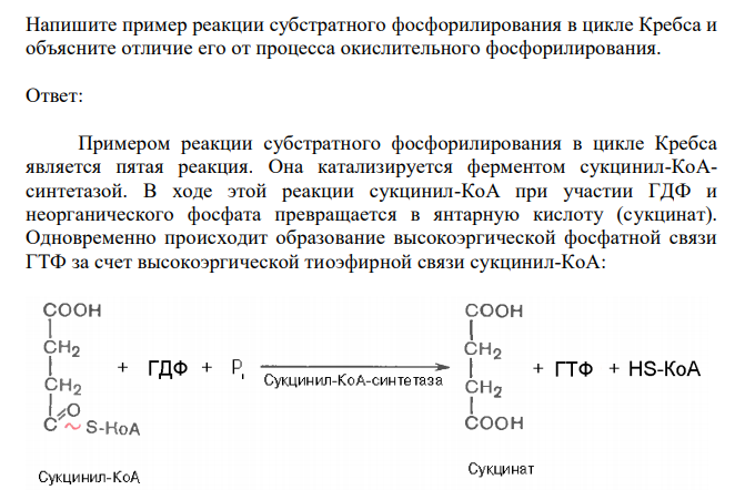  Напишите пример реакции субстратного фосфорилирования в цикле Кребса и объясните отличие его от процесса окислительного фосфорилирования. 