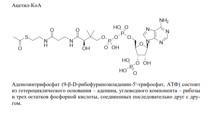  Напишите химические формулы органических соединений, содержащих в своей структуре макроэргическую связь: фосфоенолпирувата, 1,3-дифосфо-глицерата, ацетил-КоА. Объясните роль АТФ, как основного аккумулятора и источника энергии. 