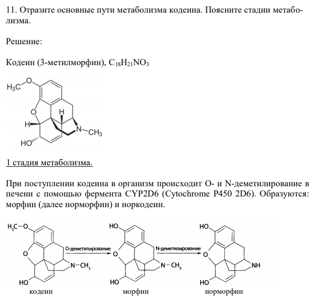 Отразите основные пути метаболизма кодеина. Поясните стадии метаболизма. 