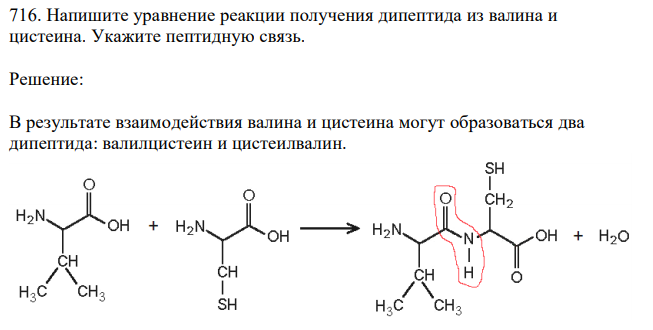  Напишите уравнение реакции получения дипептида из валина и цистеина. Укажите пептидную связь. 